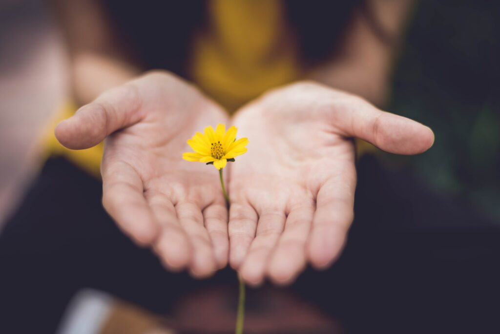 Zwei Hände, die eine Blume halten
